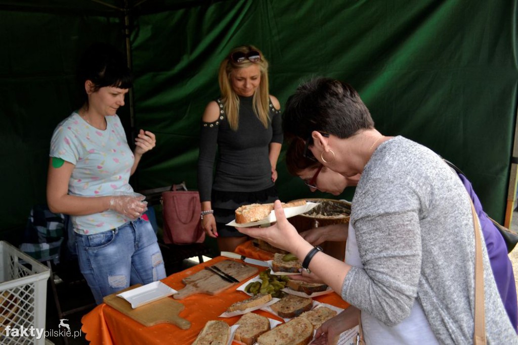 VII Piknik Rodzinny w Wyrzysku