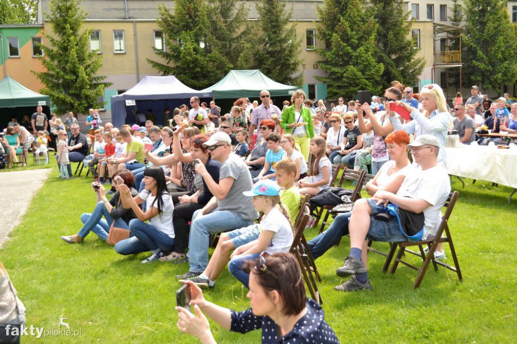 VII Piknik Rodzinny w Wyrzysku