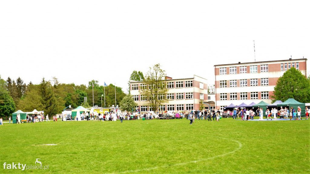 VII Piknik Rodzinny w Wyrzysku
