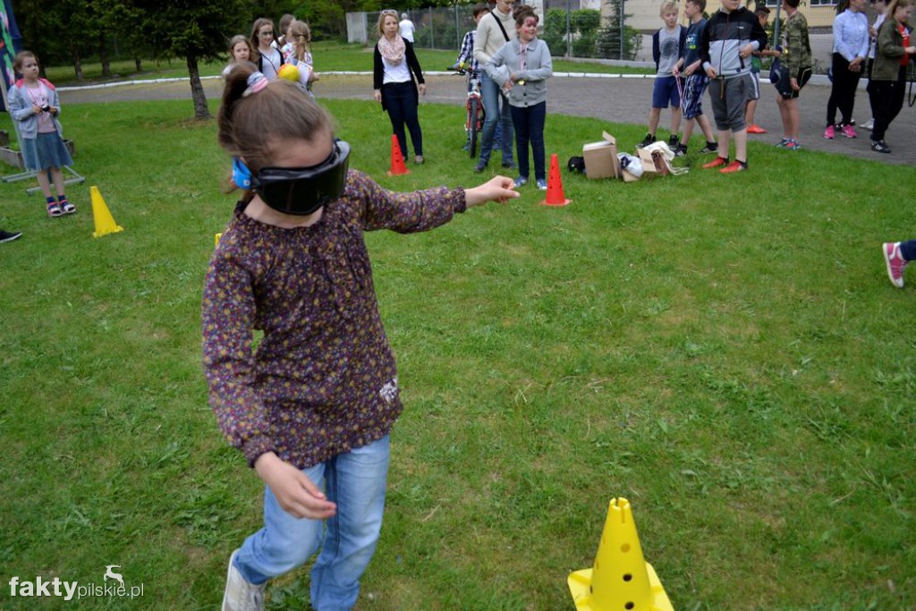 VII Piknik Rodzinny w Wyrzysku