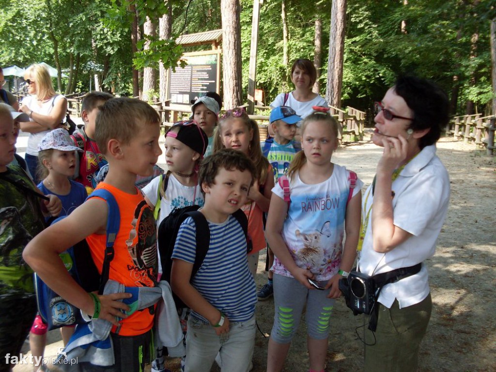 W JuraPark w Solcu Kujawskim