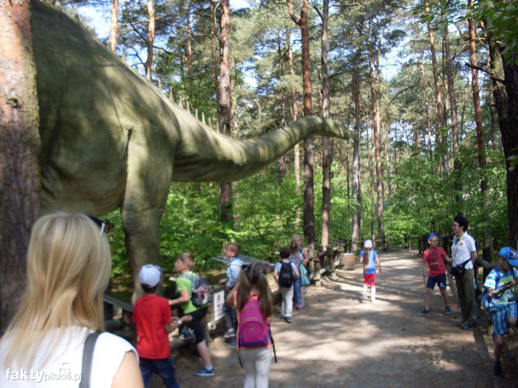 W JuraPark w Solcu Kujawskim