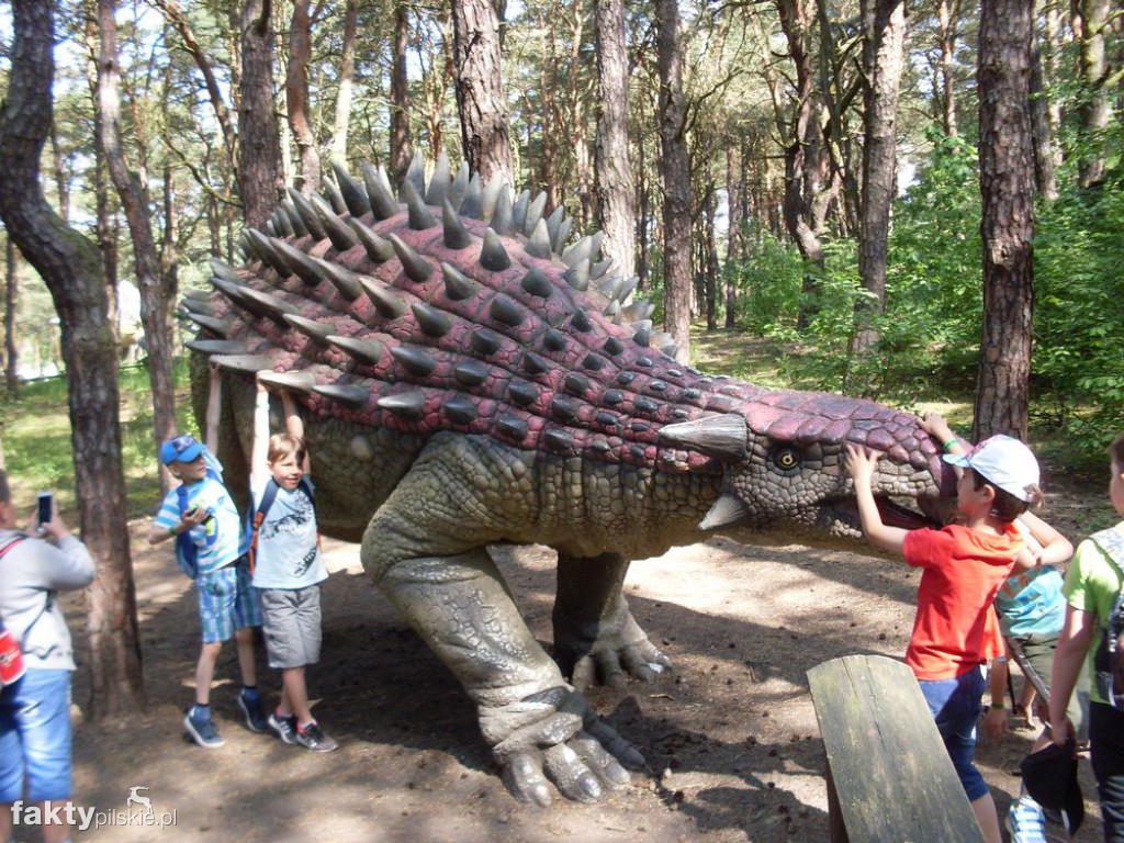 W JuraPark w Solcu Kujawskim