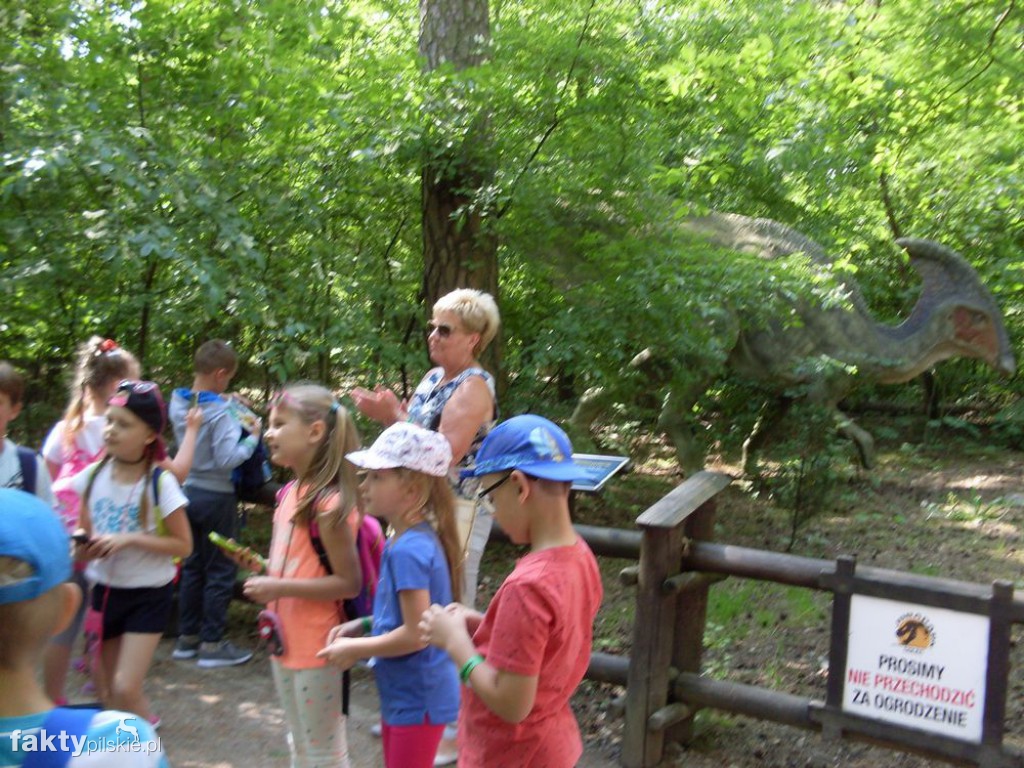W JuraPark w Solcu Kujawskim