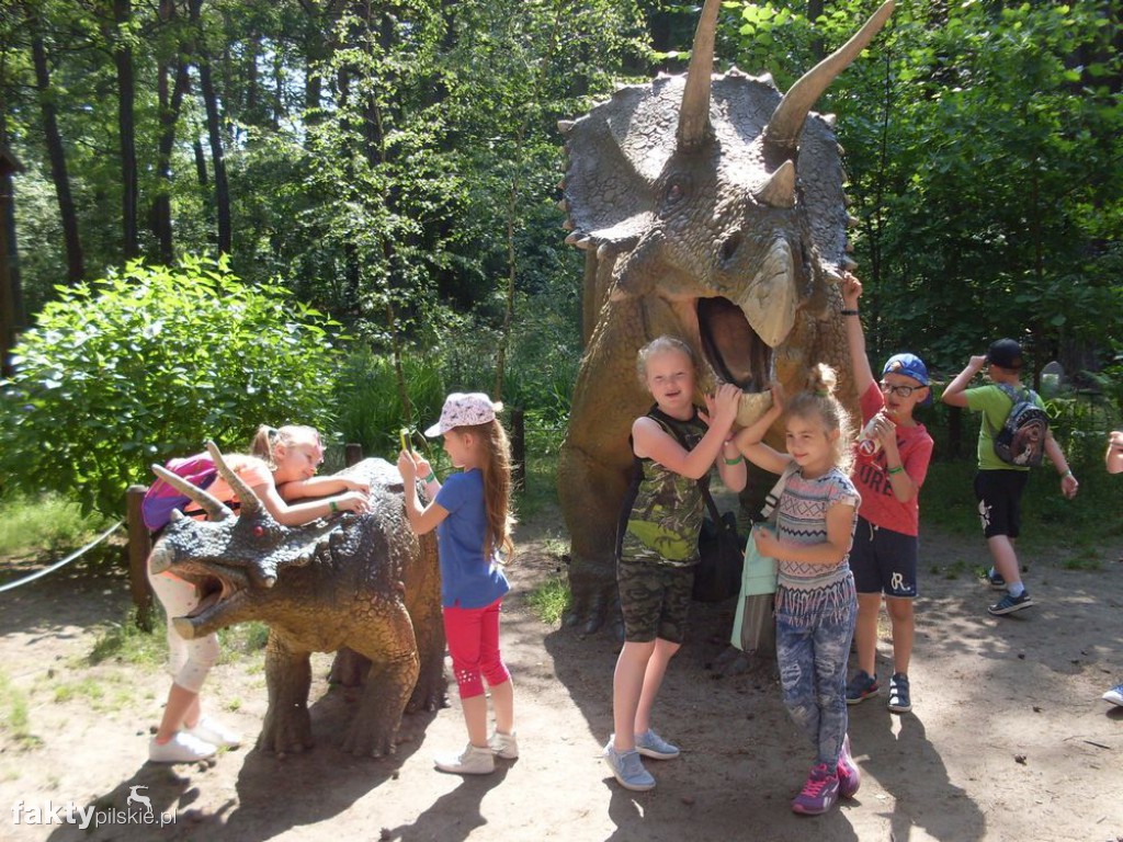 W JuraPark w Solcu Kujawskim