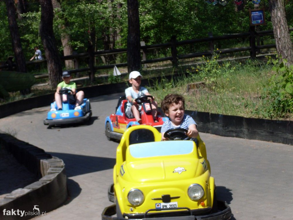 W JuraPark w Solcu Kujawskim