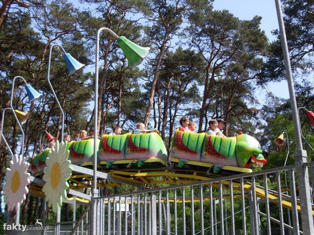 W JuraPark w Solcu Kujawskim