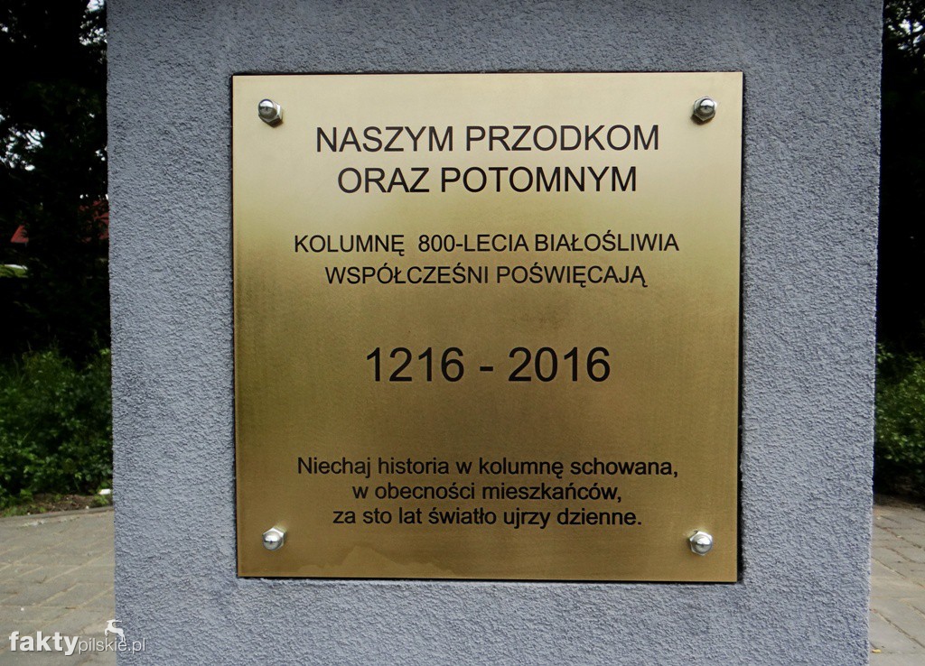 Dni Białośliwia 2017