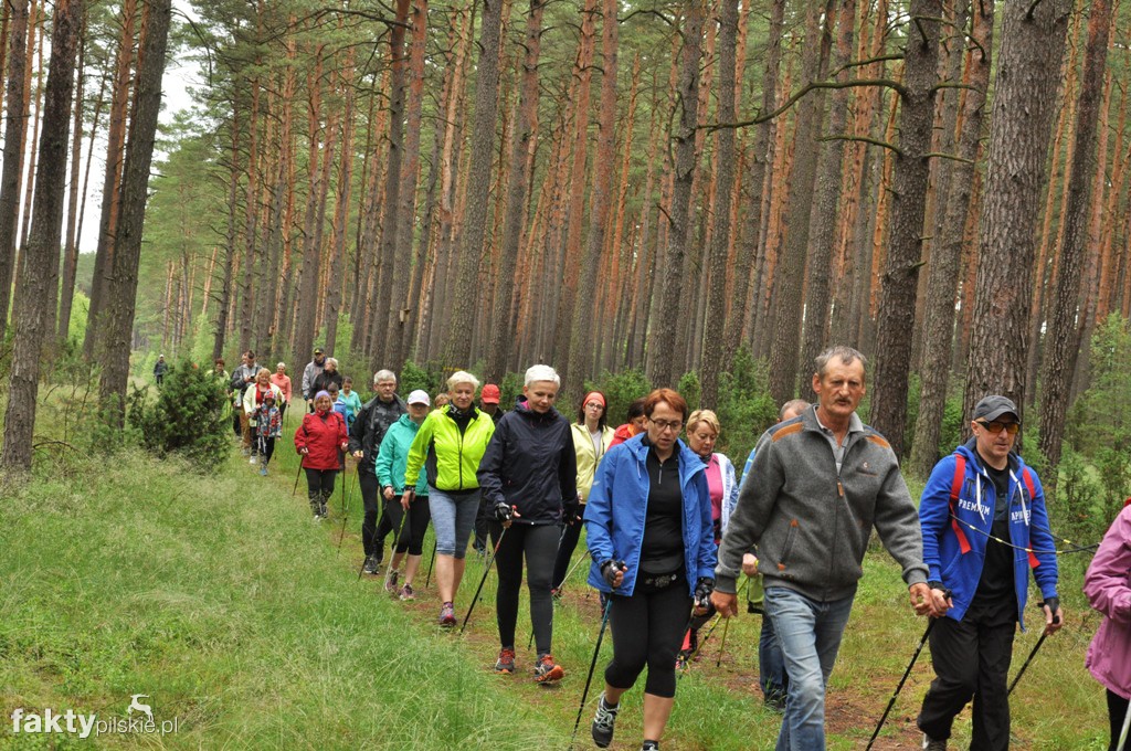 6 km Rajdu Nordic Walking