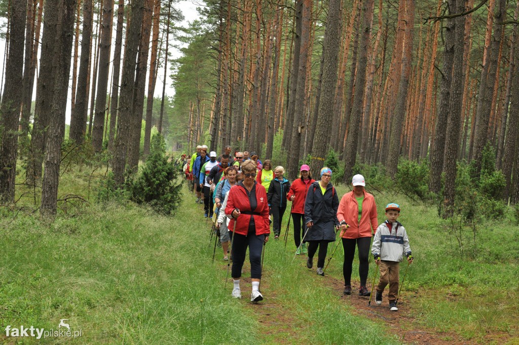 6 km Rajdu Nordic Walking