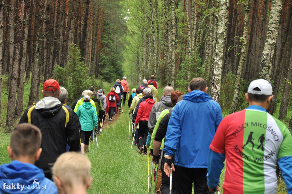 6 km Rajdu Nordic Walking