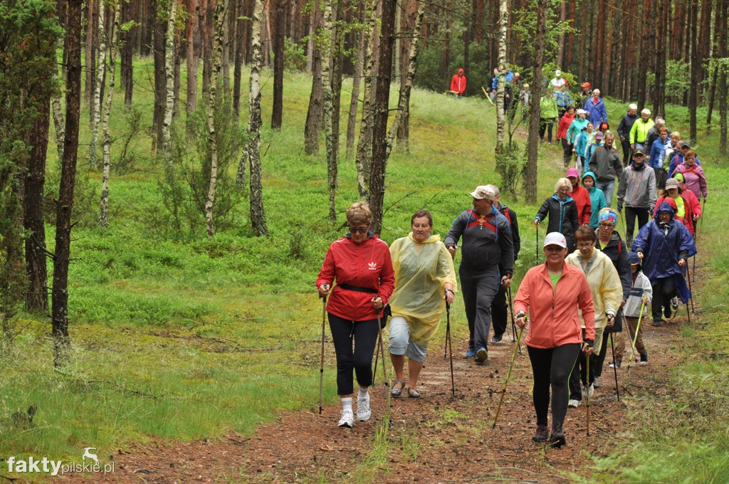 6 km Rajdu Nordic Walking