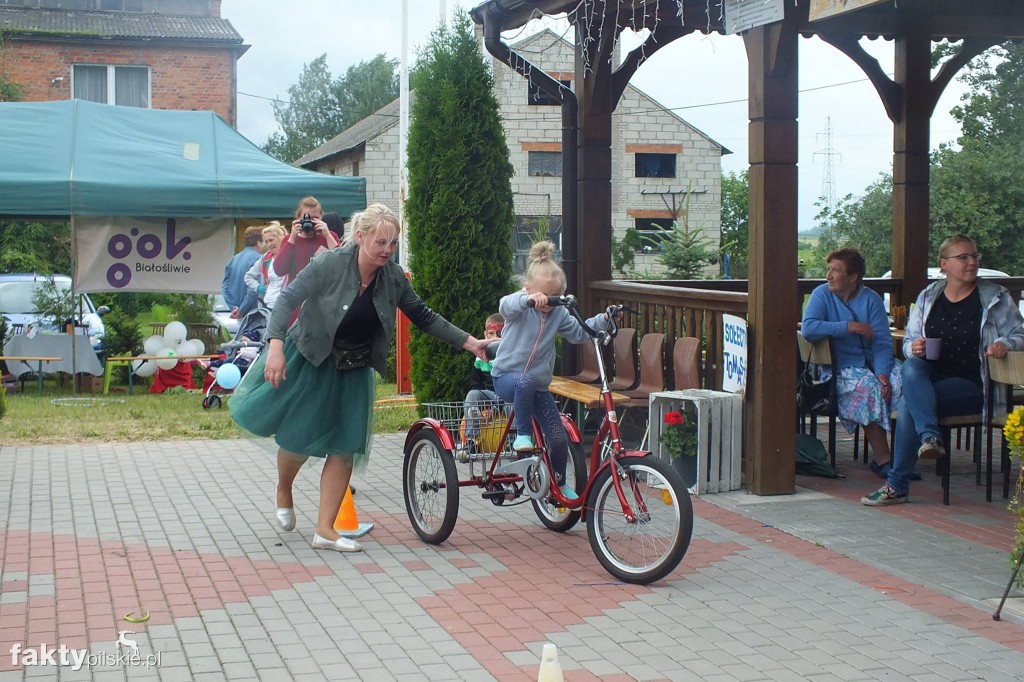 Piknik i sołtysówka w Tomaszewie