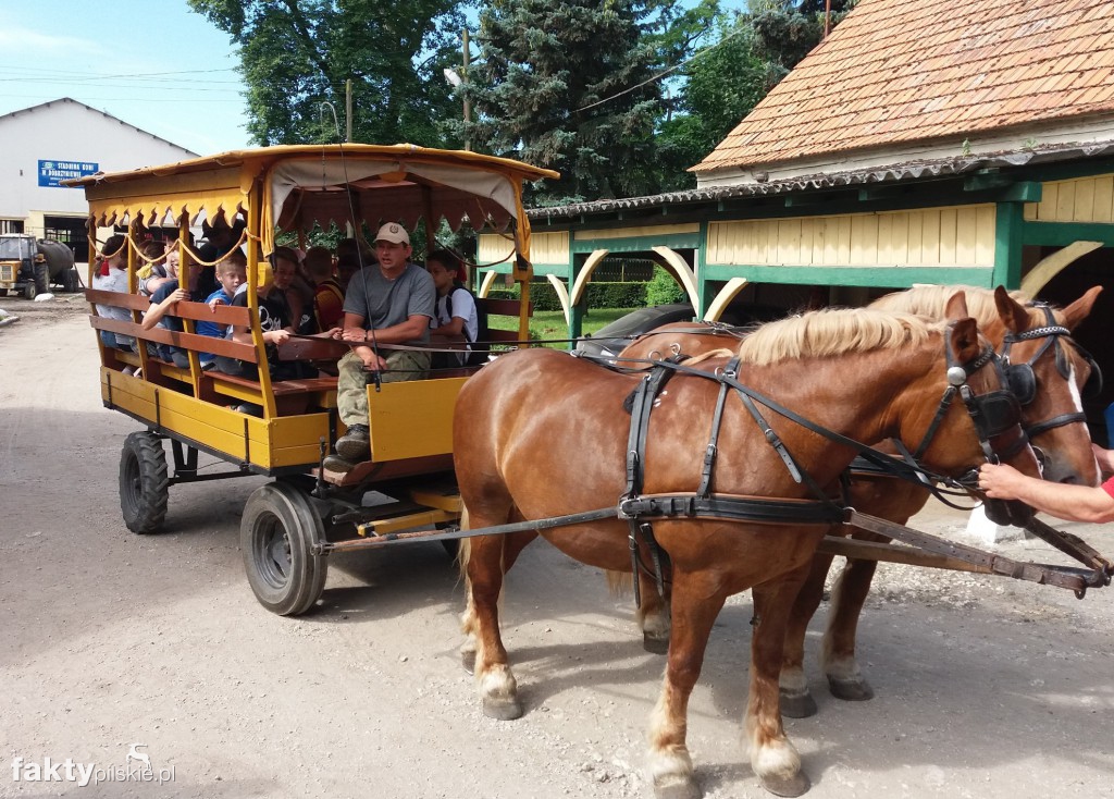 Rajd rowerowy do stadniny w Gleśnie