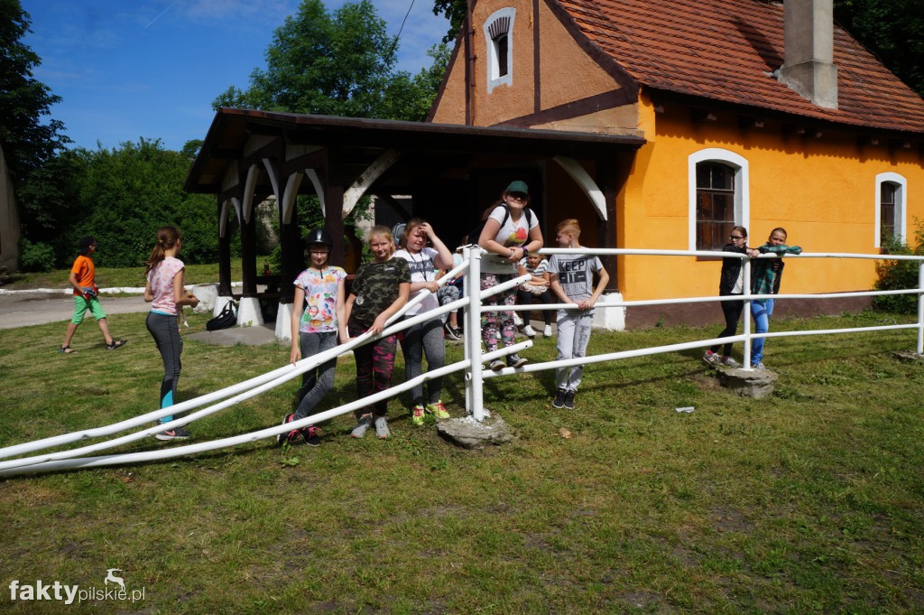 Rajd rowerowy do stadniny w Gleśnie