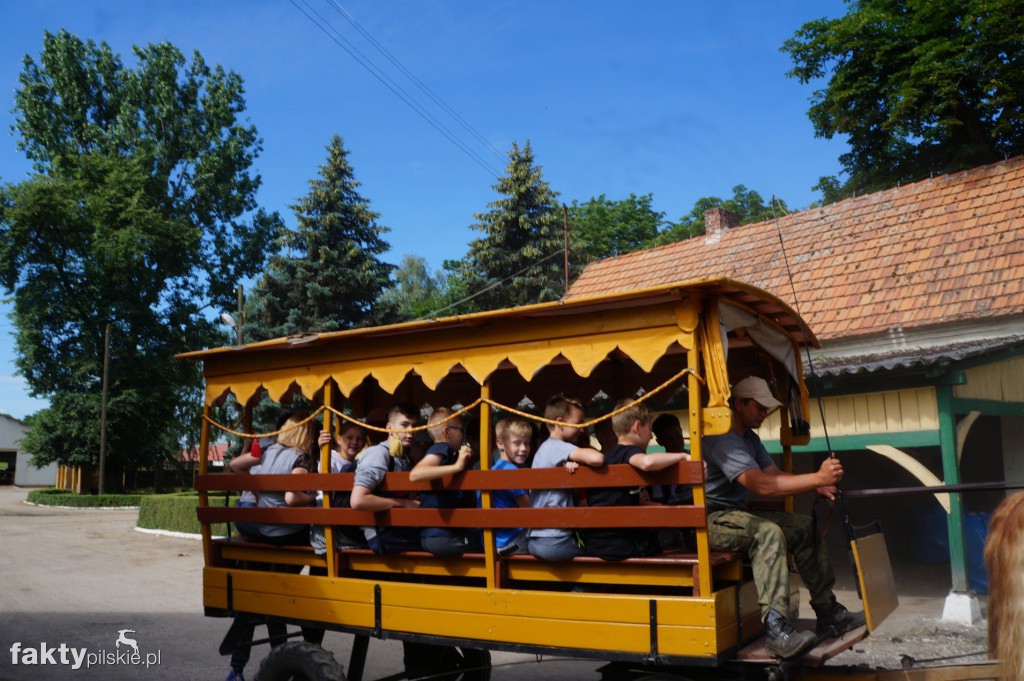 Rajd rowerowy do stadniny w Gleśnie