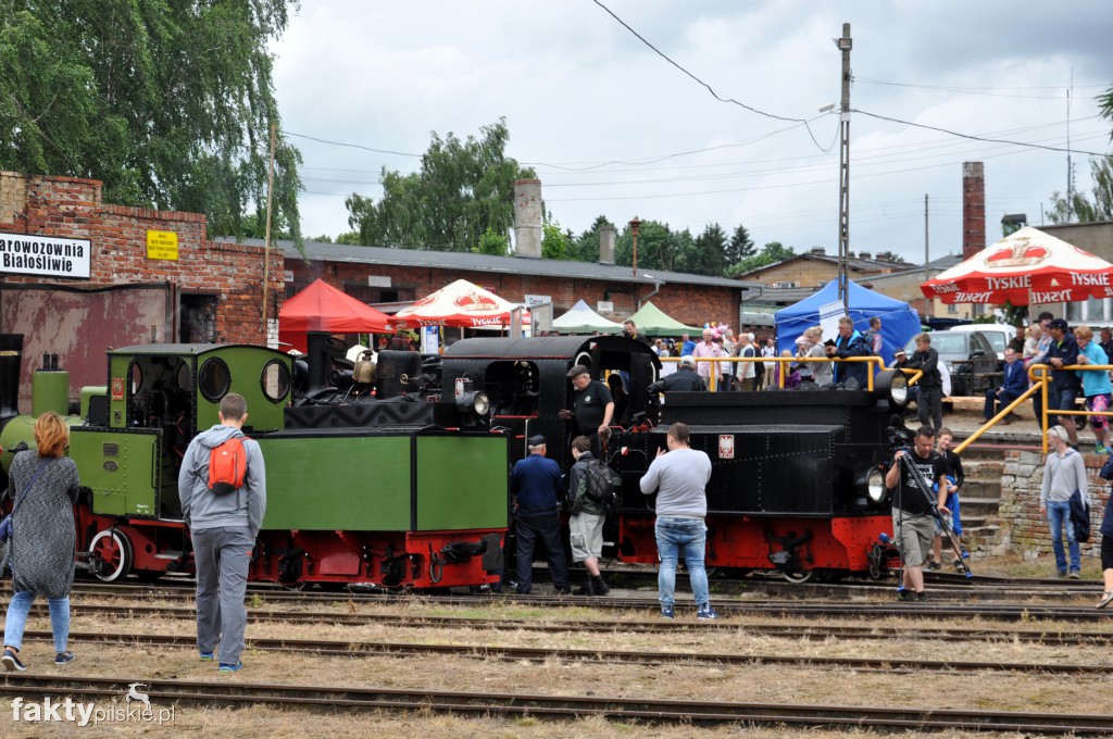 Zlot Miłośników Kolejek Wąskotorowych