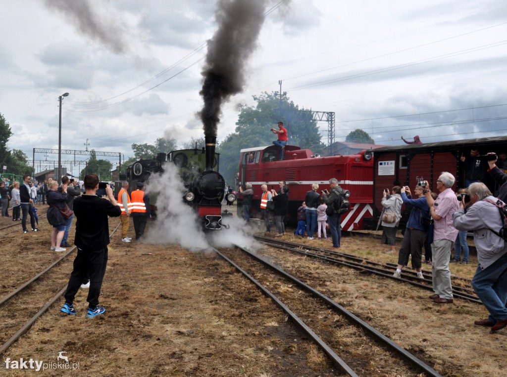 Zlot Miłośników Kolejek Wąskotorowych