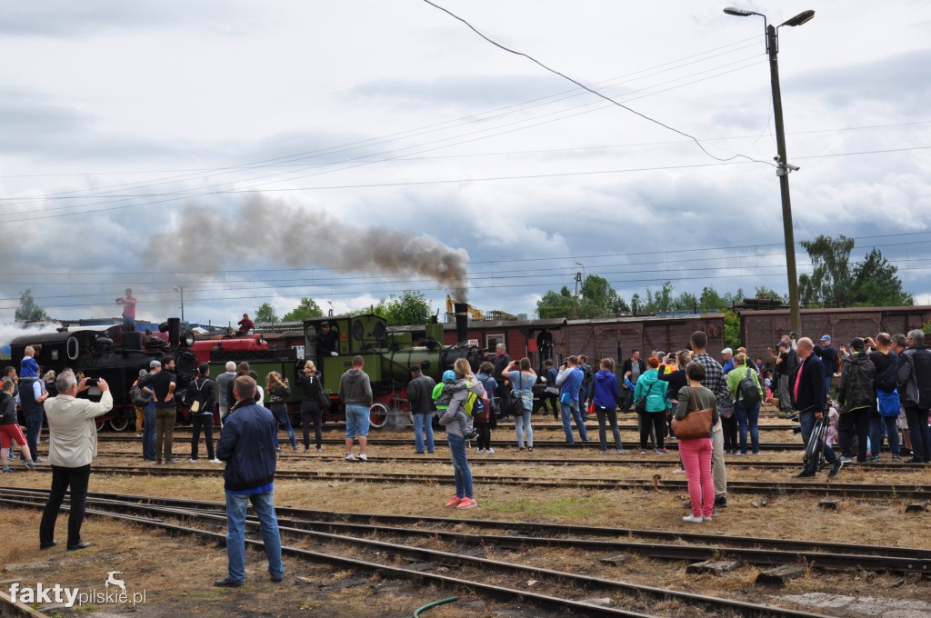 Zlot Miłośników Kolejek Wąskotorowych