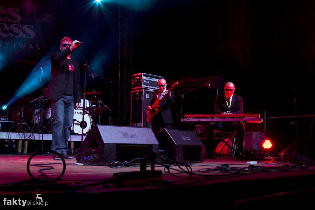 Blues Express 2017 Poznań - Piła - Zakrzewo