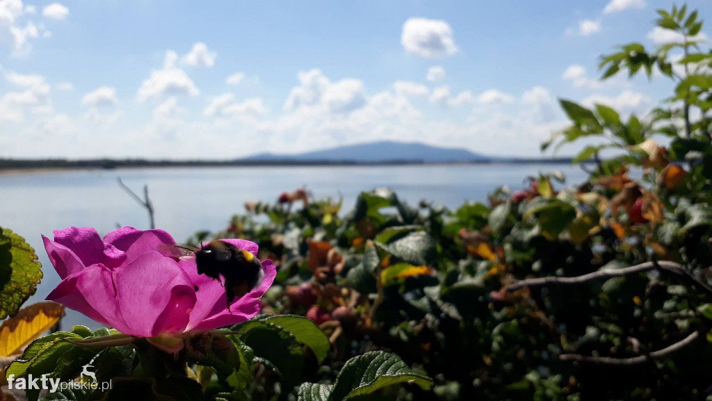 Jednoślad objeżdża zamki Dolnego Śląska