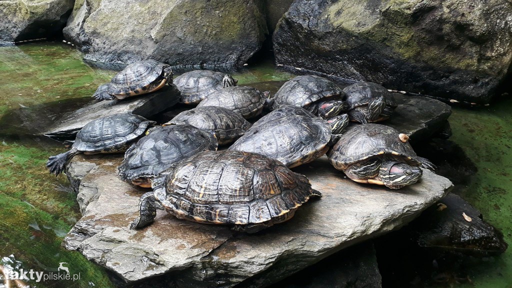 Jednoślad objeżdża zamki Dolnego Śląska