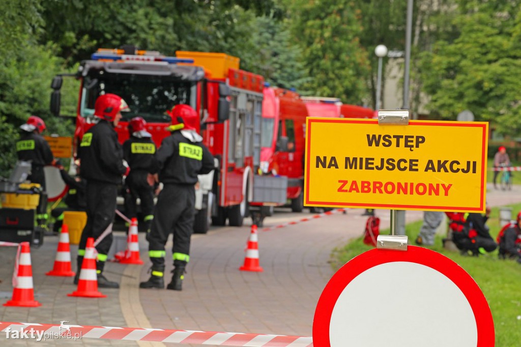 Ćwiczenia strażaków na Gwdzie
