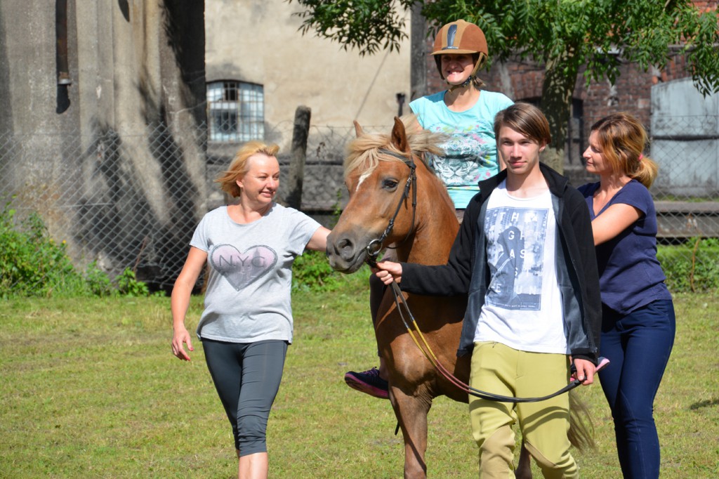Projekt Zwierzęta - Ludziom