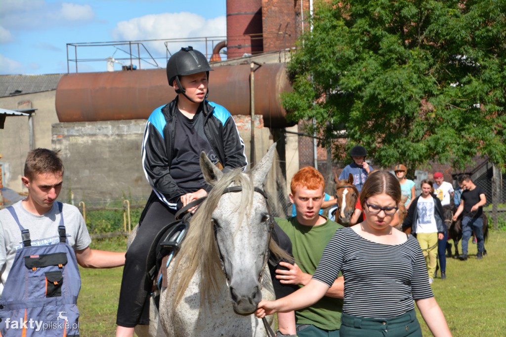 Projekt Zwierzęta - Ludziom