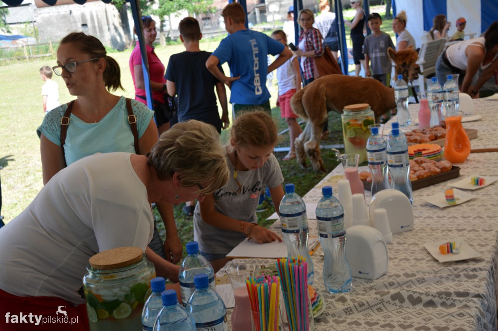 Projekt Zwierzęta - Ludziom