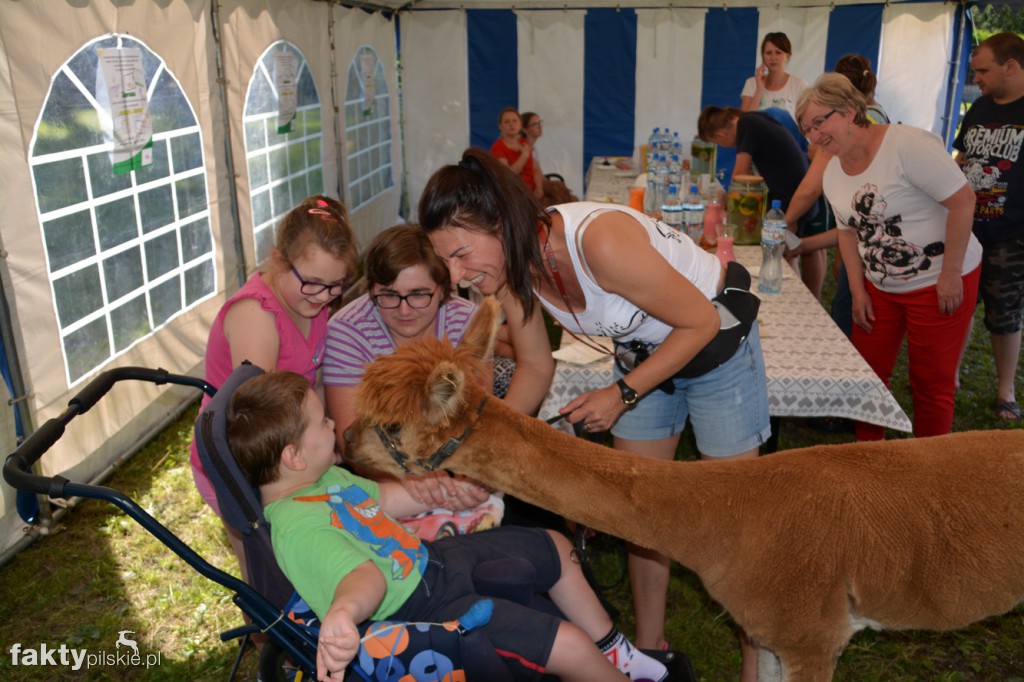Projekt Zwierzęta - Ludziom