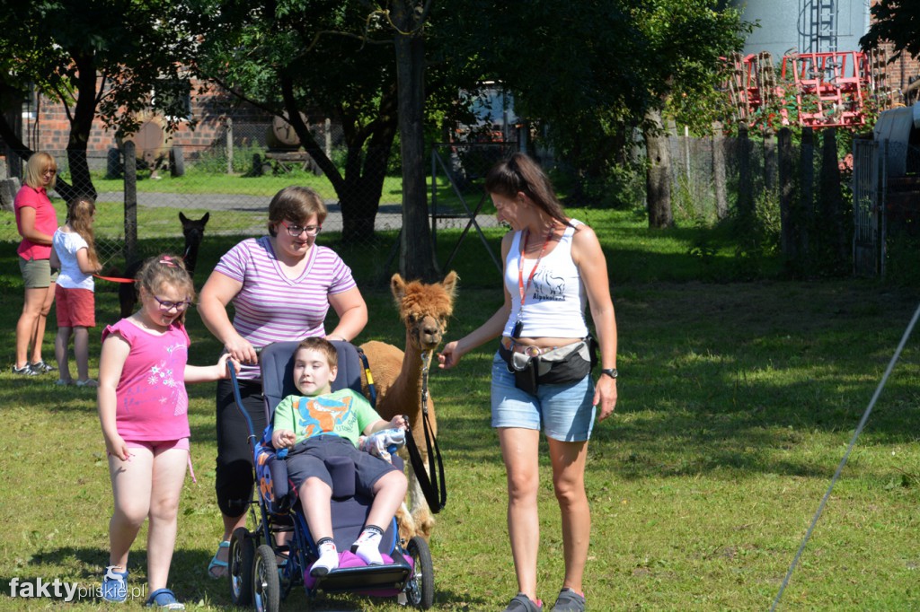 Projekt Zwierzęta - Ludziom