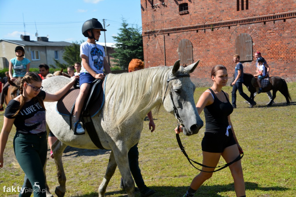 Projekt Zwierzęta - Ludziom