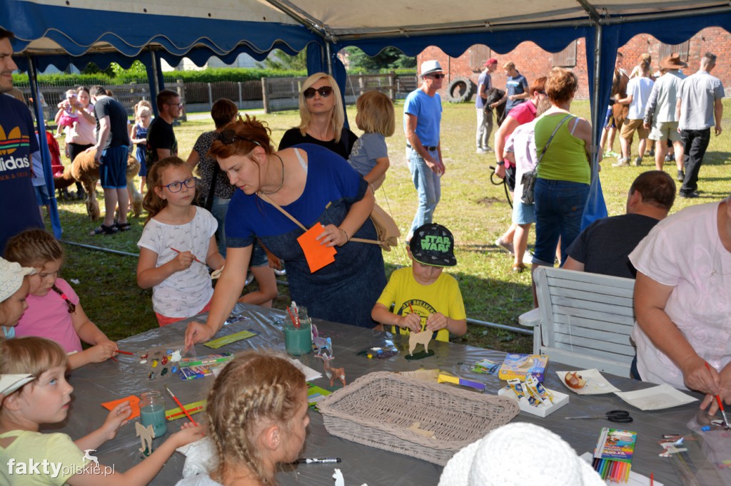 Projekt Zwierzęta - Ludziom