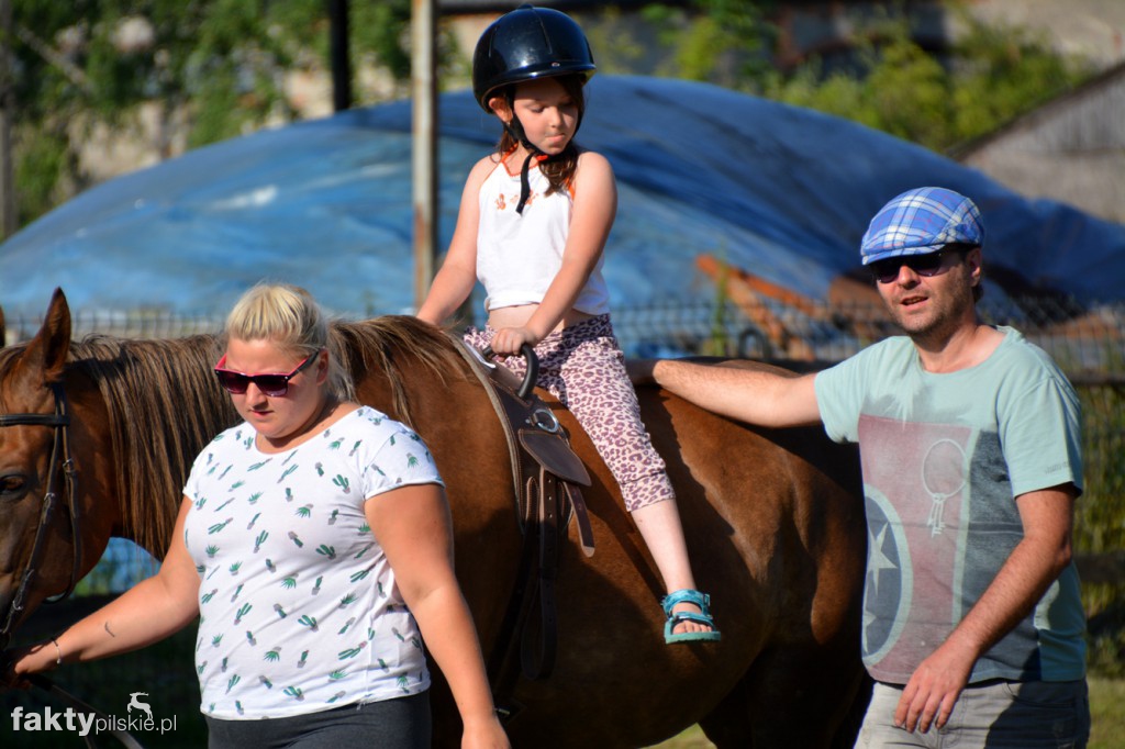 Projekt Zwierzęta - Ludziom