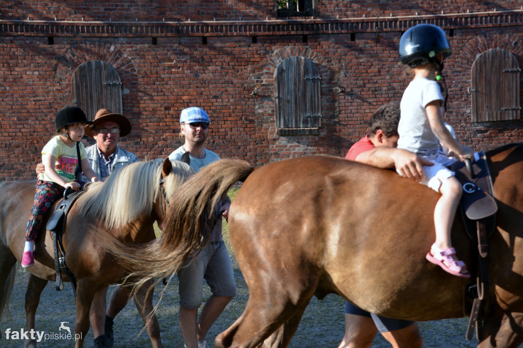 Projekt Zwierzęta - Ludziom
