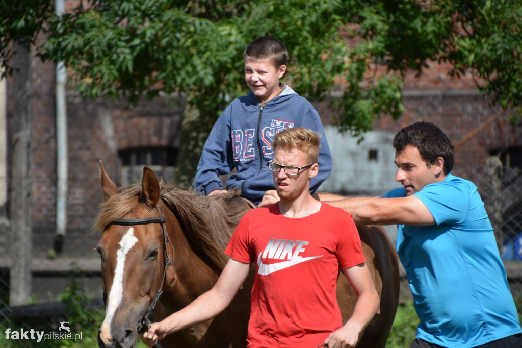 Projekt Zwierzęta - Ludziom