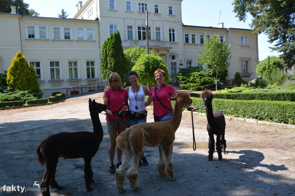 Projekt Zwierzęta - Ludziom