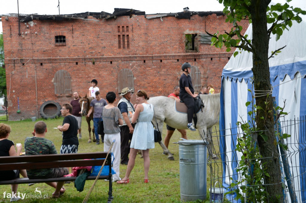 Projekt Zwierzęta - Ludziom