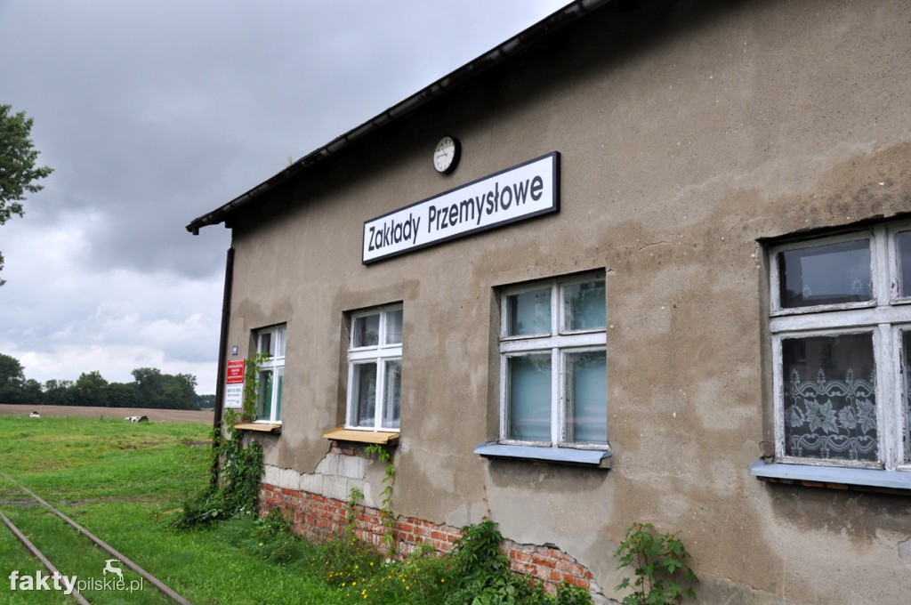 Survival na szlaku wąskotorowym