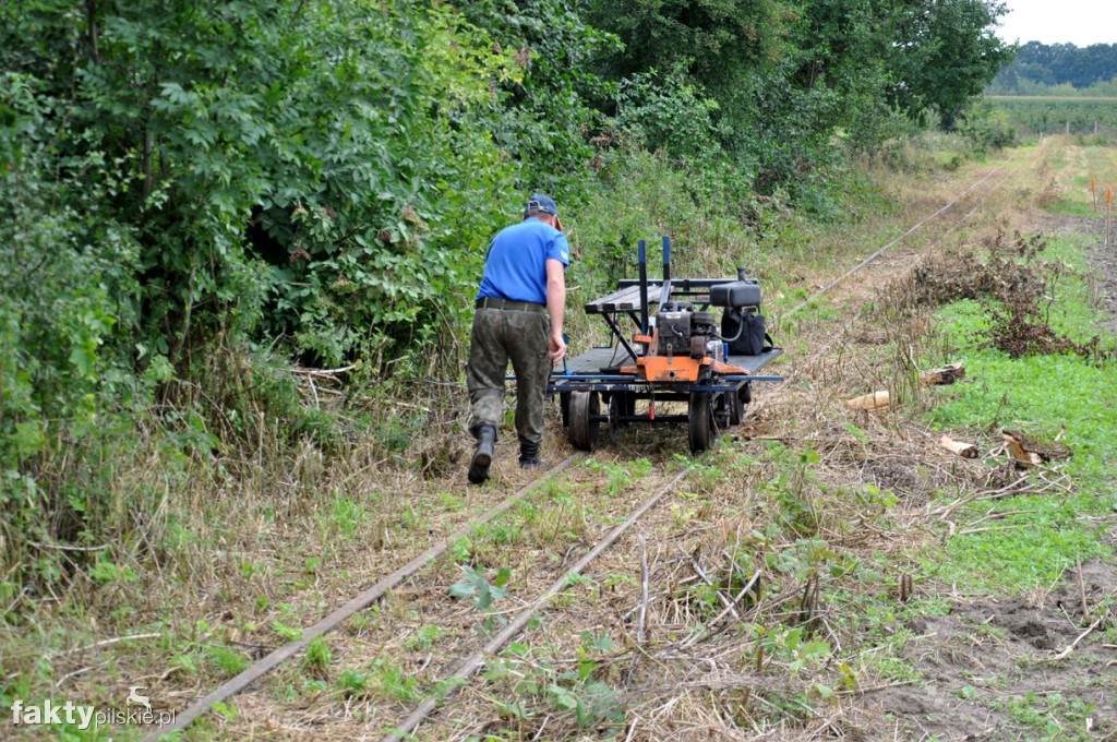 Survival na szlaku wąskotorowym
