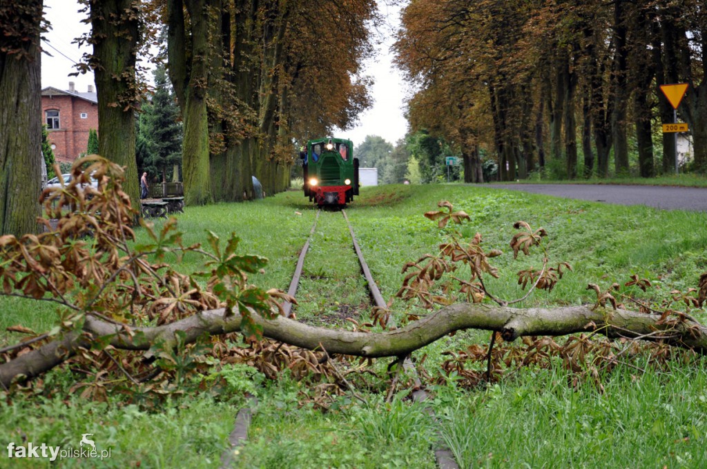 Survival na szlaku wąskotorowym
