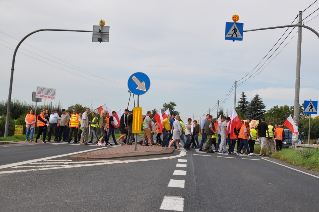 Pikieta przeciwko linii 400 kV