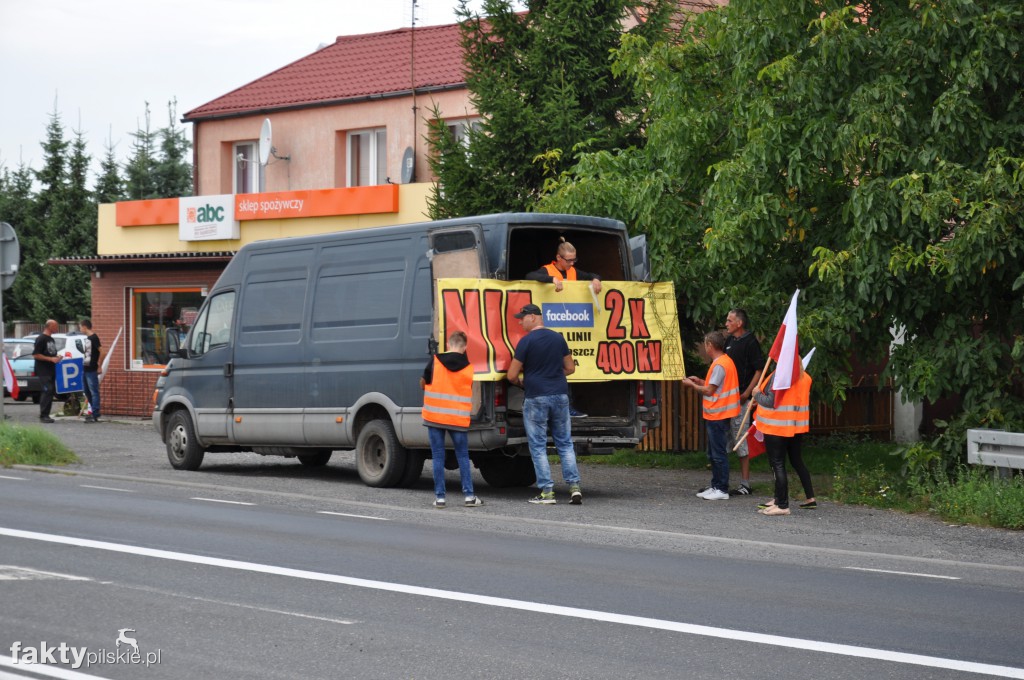 Pikieta przeciwko linii 400 kV