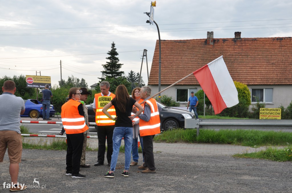 Pikieta przeciwko linii 400 kV