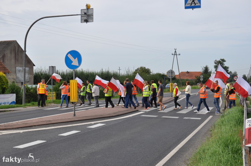 Pikieta przeciwko linii 400 kV