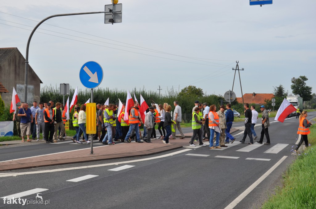 Pikieta przeciwko linii 400 kV