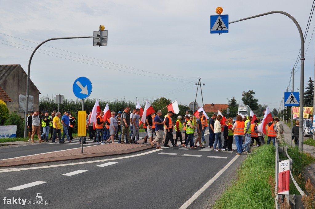 Pikieta przeciwko linii 400 kV