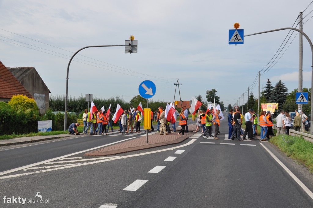 Pikieta przeciwko linii 400 kV