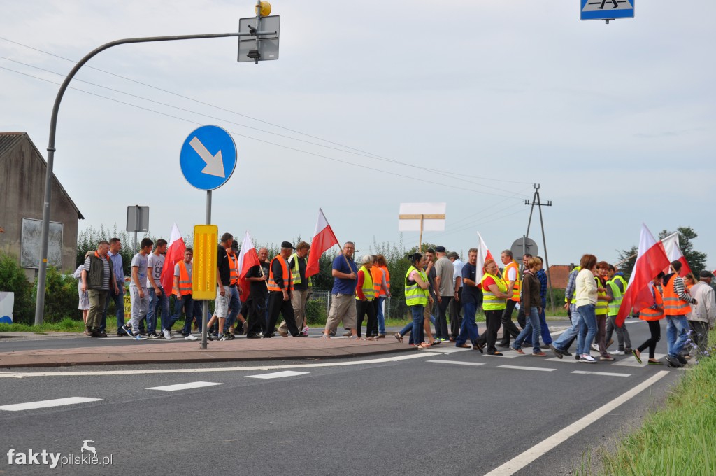 Pikieta przeciwko linii 400 kV